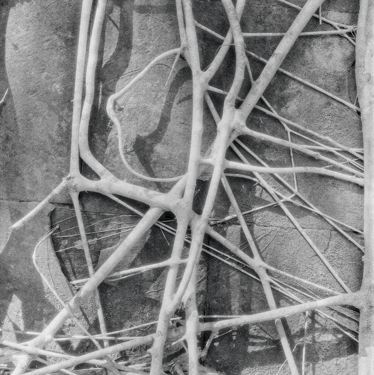 Stacks Image 156