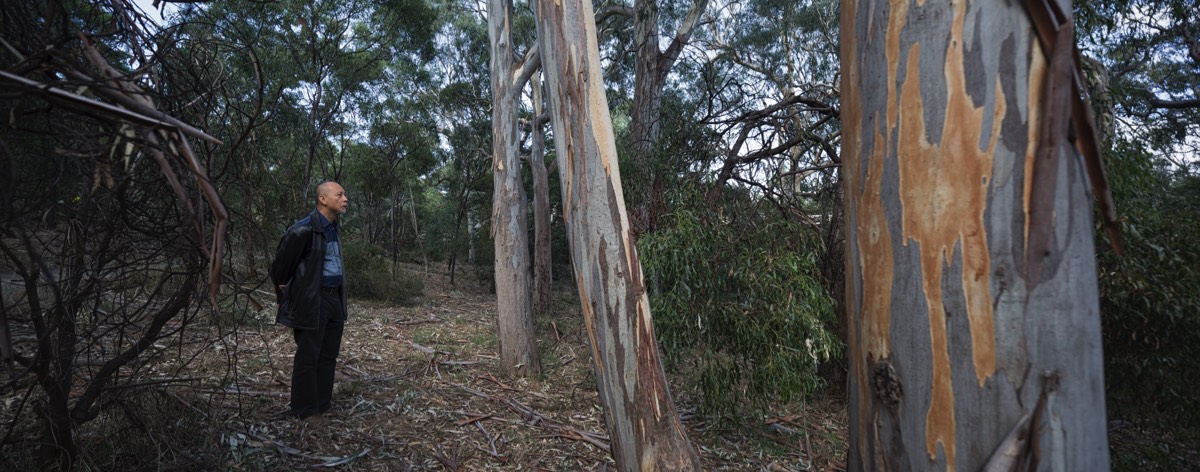 Stacks Image 61